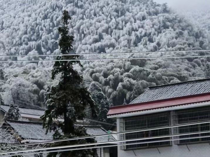 钱能钱包