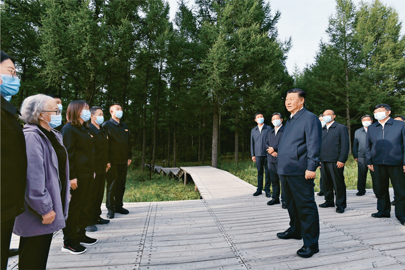 图片5.png