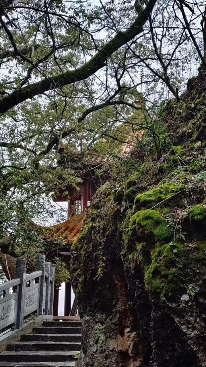 钱能钱包