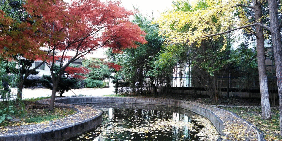 钱能钱包