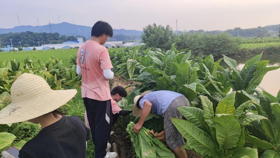 钱能钱包