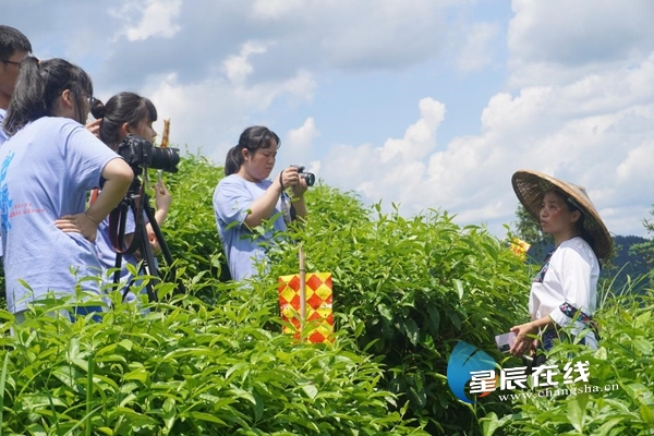 document_news_content_62c7026e9dc8d_watermark1.jpg