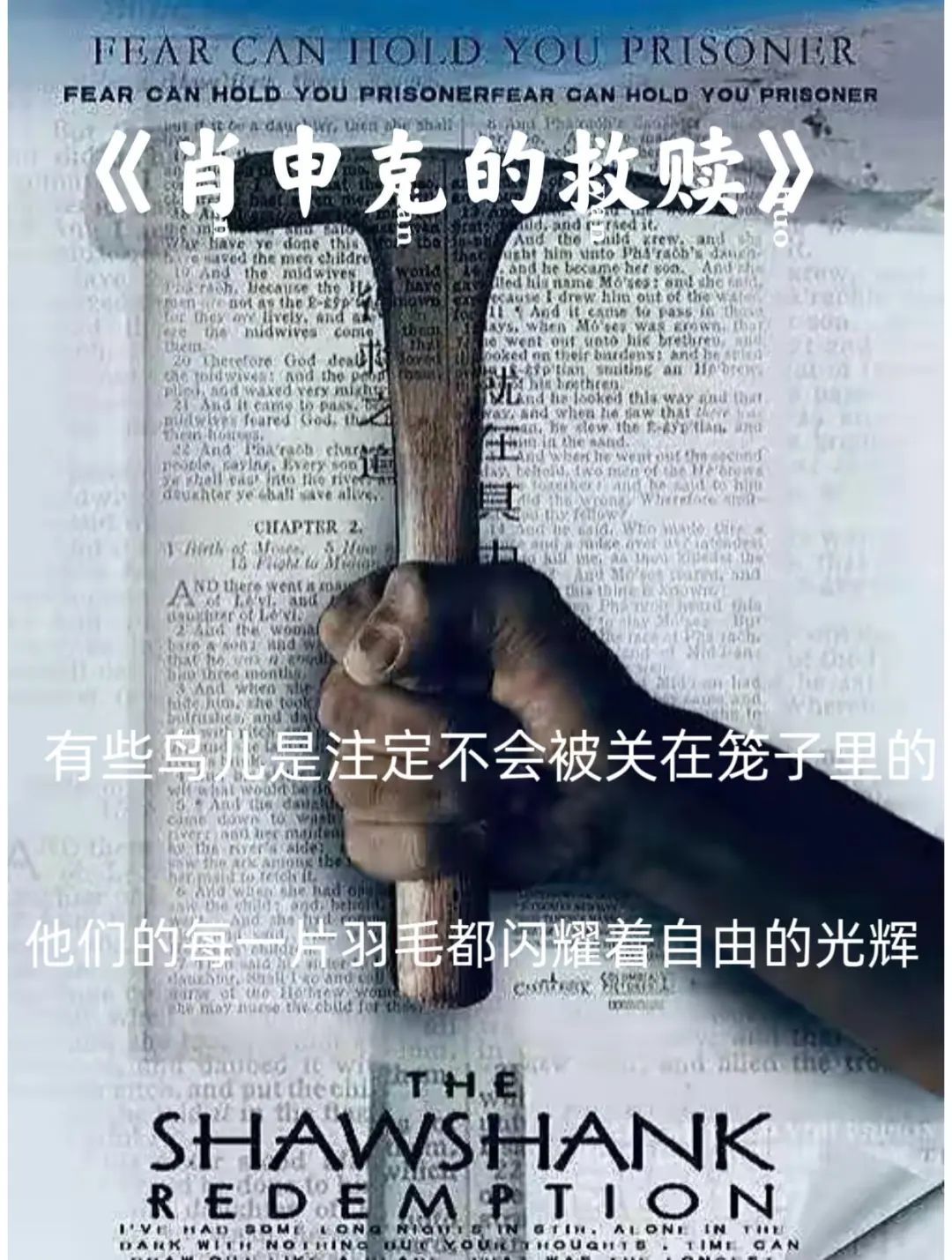 钱能钱包