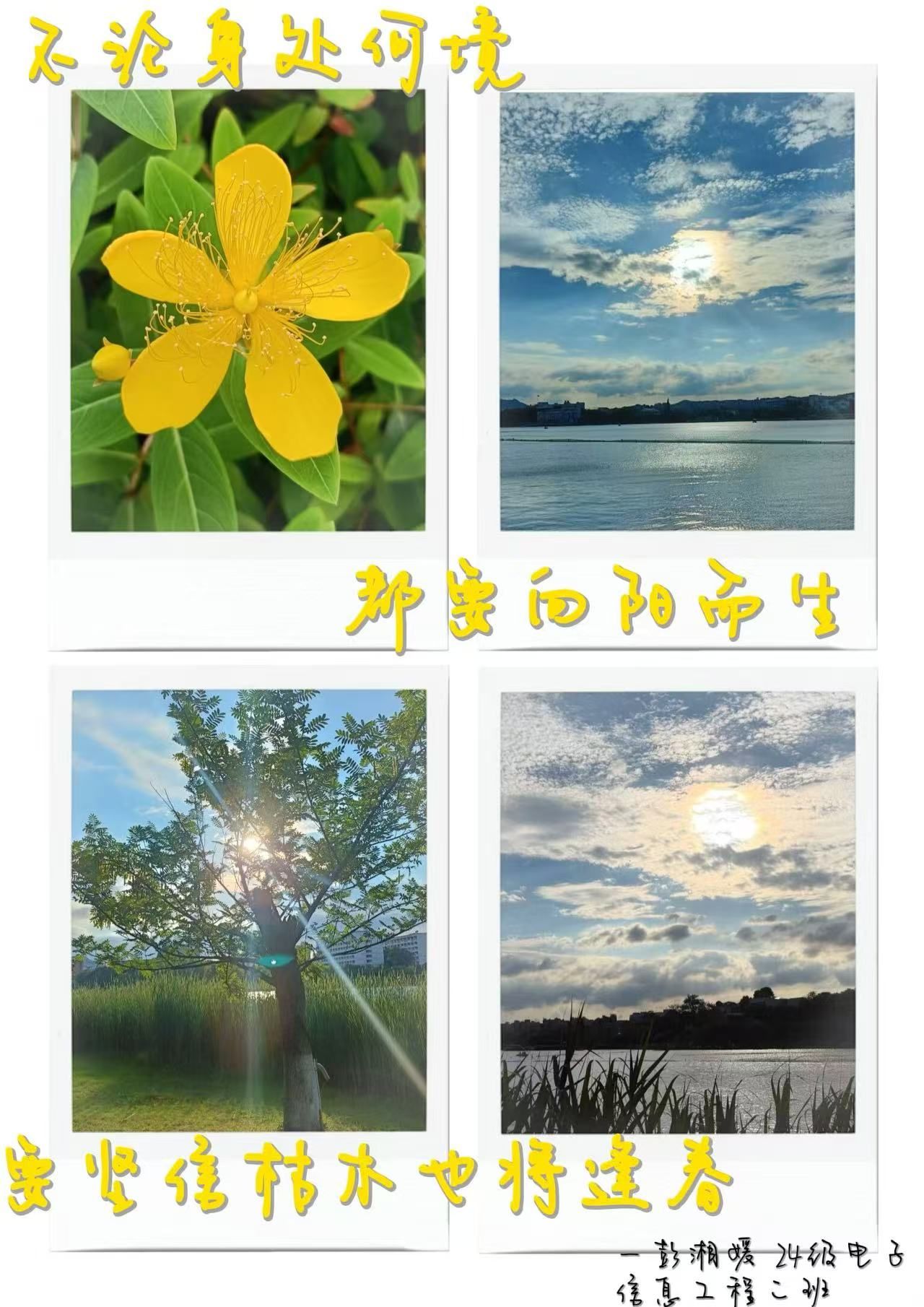 钱能钱包