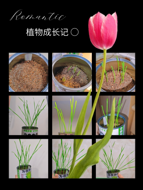 钱能钱包