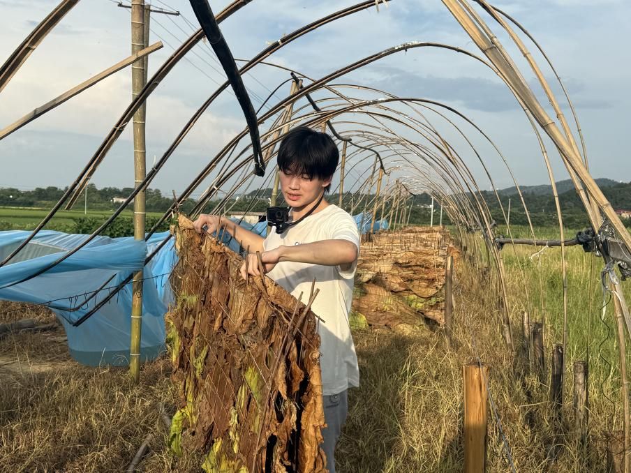 钱能钱包